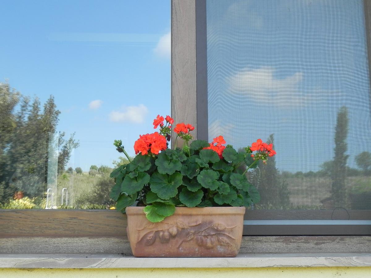 B&B Monte Di Bu Bagno Roselle Exterior photo