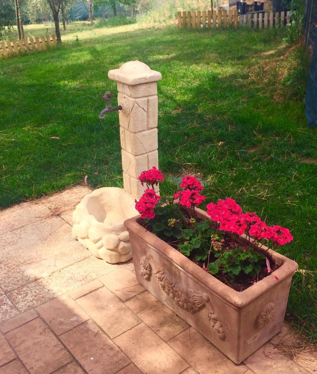 B&B Monte Di Bu Bagno Roselle Exterior photo